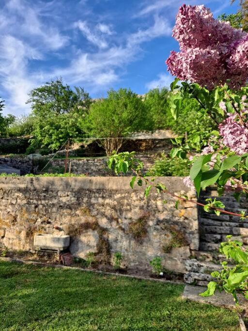 Residence La Mamone Ornans Dış mekan fotoğraf